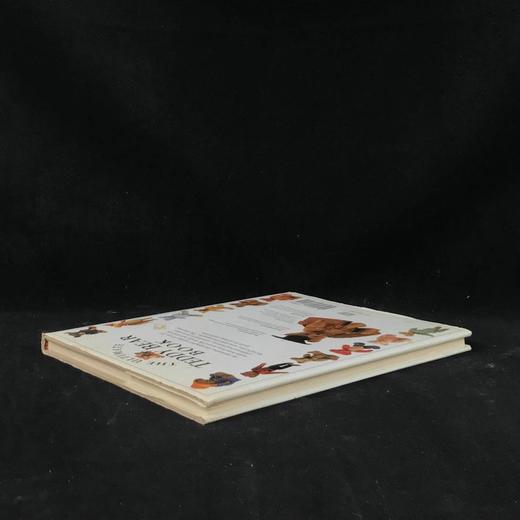 泰迪熊图集 数百幅彩色插图 精装16开 商品图2