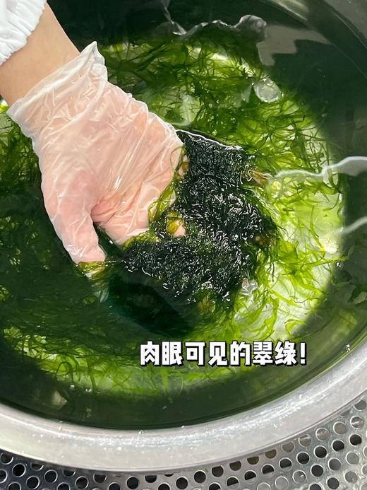 【海苔虾皮煎饼】“钙多多”温州非遗美食，快手早餐【现货，72小时内发货】 商品图11