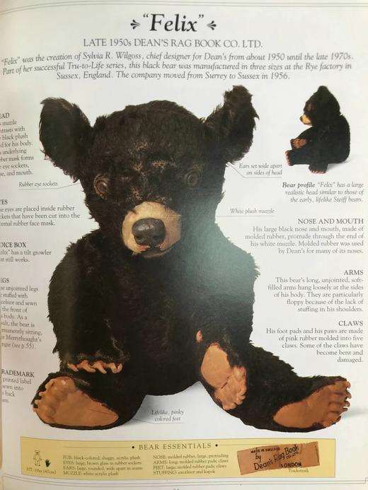 泰迪熊图集 数百幅彩色插图 精装16开 商品图10