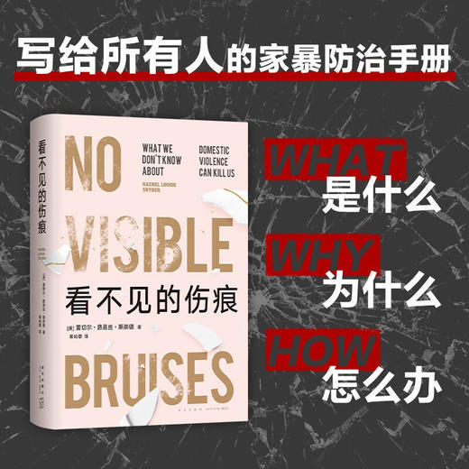 看不见的伤痕 打破对家暴的普遍误解 横扫欧美纪实大奖（美）蕾切尔·路易丝·斯奈德 著 商品图4