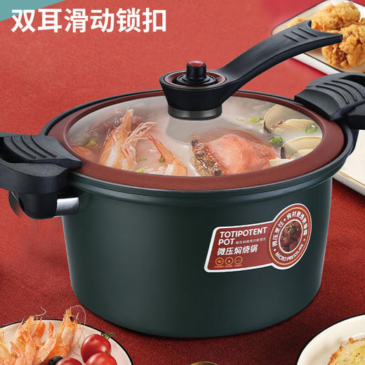 【小家电】巴尔德抗菌微压焖烧锅不粘加厚家用蒸锅煮粥锅燃气电磁炉炖煮锅BD-009A HF 商品图3