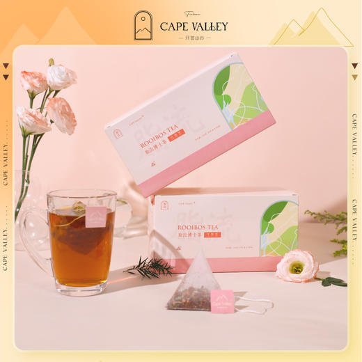 【纤体健身舞蹈瑜伽人士】脂流茶路易波士茶 商品图4