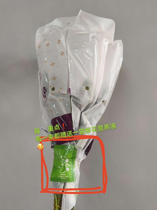 艾莉森玫瑰，双色20支，送一袋营养液 商品图4