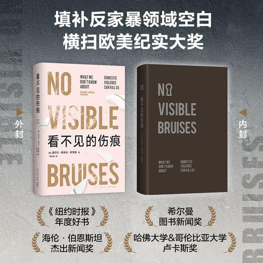 看不见的伤痕 打破对家暴的普遍误解 横扫欧美纪实大奖（美）蕾切尔·路易丝·斯奈德 著 商品图3