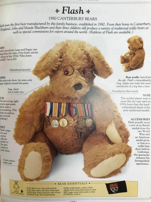 泰迪熊图集 数百幅彩色插图 精装16开 商品图7