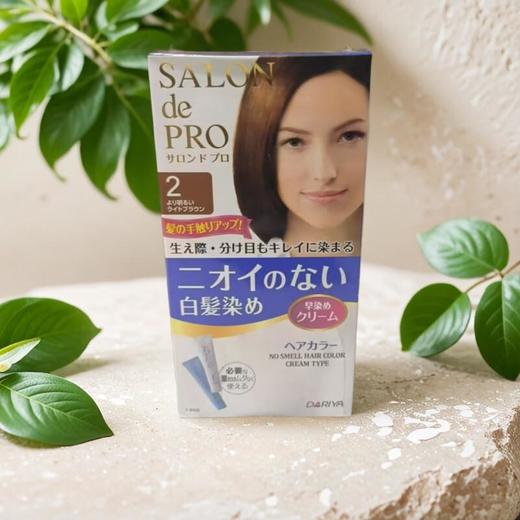 塔莉雅 便捷润彩染霜C2 40g*2/盒 商品图0