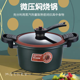 【小家电】巴尔德抗菌微压焖烧锅不粘加厚家用蒸锅煮粥锅燃气电磁炉炖煮锅BD-009A HF