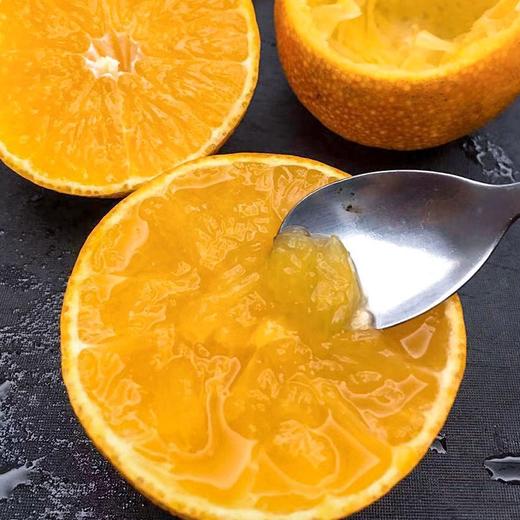[最农公社]主推|四川爱媛38果冻橙净重3斤4.5斤中果大果特大果果王 商品图1