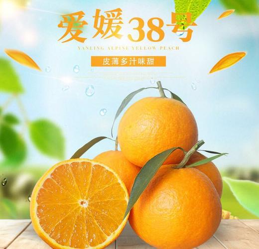 [最农公社]主推|四川爱媛38果冻橙净重3斤4.5斤中果大果特大果果王 商品图2