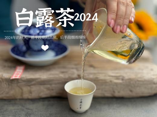 【2024白露茶】清新沁凉，带着清鲜之山野气韵的甜花香，空灵、甜美（1斤收藏装） 商品图14