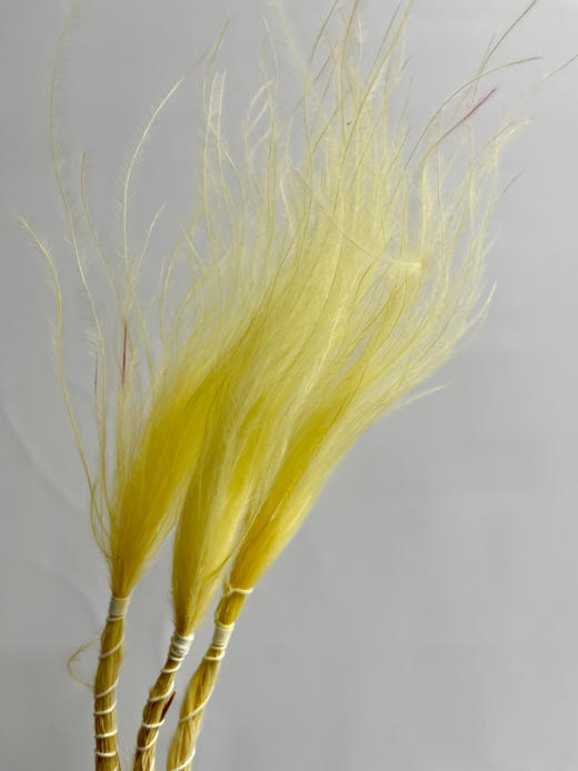 永生花材-【国产羽毛草】3枝装 商品图1