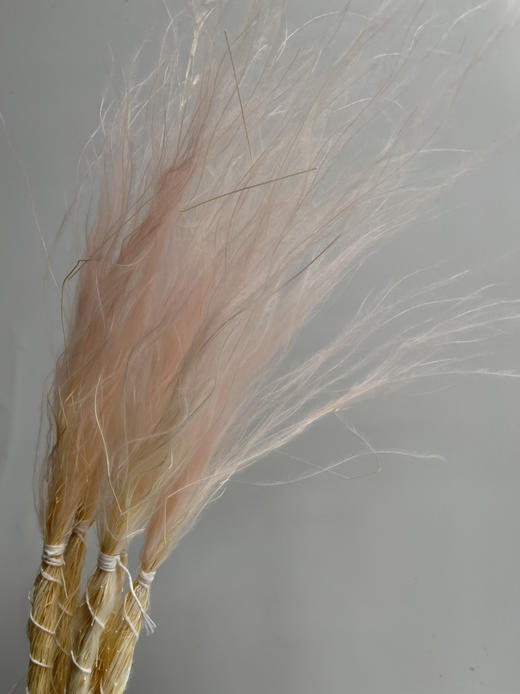 永生花材-【国产羽毛草】3枝装 商品图4