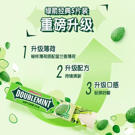 绿箭薄荷口香糖13.5g 商品图0