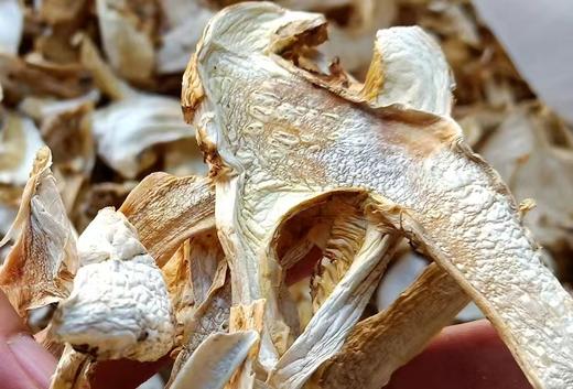 野生松茸干片(农友直发) 商品图0