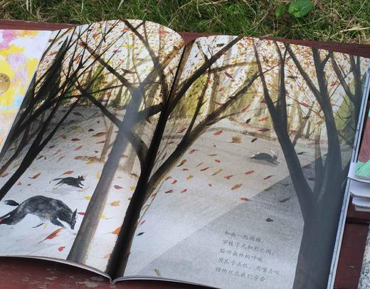 《大师绘本花园：与全世界孩子共读经典》，15册，盒装，平装，12开，中信出版社2019年版，定价368，售价148。 商品图4