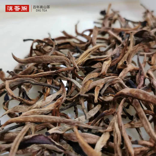 大金芽-特大芽 内部福利团 头采500克 蜜香 商品图0