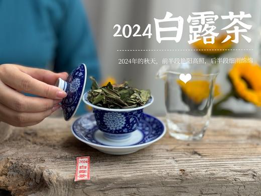 【2024白露茶】清新沁凉，带着清鲜之山野气韵的甜花香，空灵、甜美（1斤收藏装） 商品图9