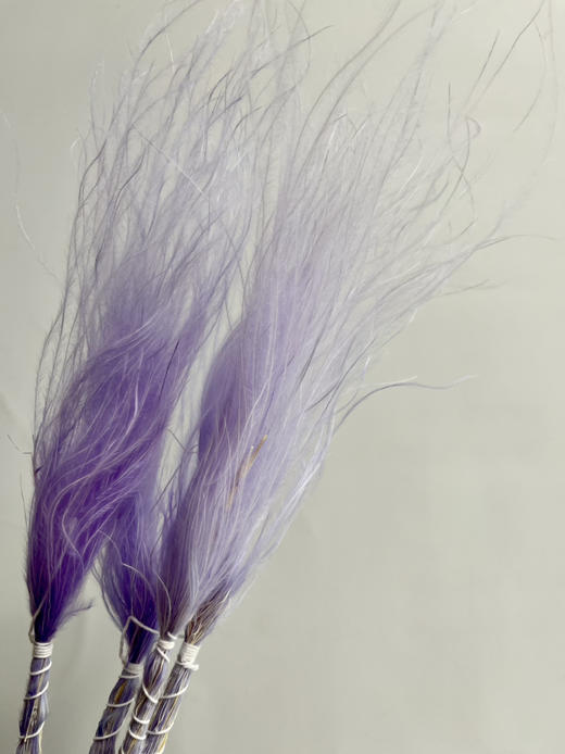 永生花材-【国产羽毛草】3枝装 商品图2