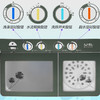 威力（WEILI）洗衣机15kg公斤半自动双缸洗衣机双桶大容量家用双筒 洗脱分离 强劲动力 洗脱双电机 XPB150-2208S【15公斤】 商品缩略图2