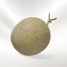 口口蜜网纹瓜 约1.2kg/个