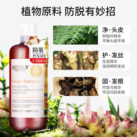 卓蓝雅防脱育发洗发露生姜洗发水洗发浆控油清爽去屑舒缓柔顺 防脱育发洗发露800ml