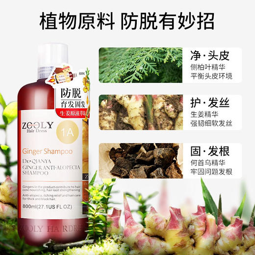 卓蓝雅防脱育发洗发露生姜洗发水洗发浆控油清爽去屑舒缓柔顺 防脱育发洗发露800ml 商品图0
