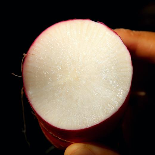 【时令】新鲜水萝卜 商品图5