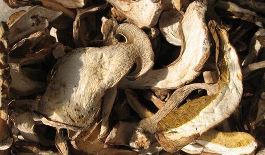 野生牛肝菌干片(农友直发) 商品图0