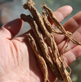 正宗甘肃纯野生老党参/大条无硫/10 年以上老党参/参味浓郁/甘甜 250克