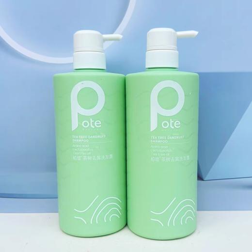 柏缇茶树去屑洗发露780ml 商品图0