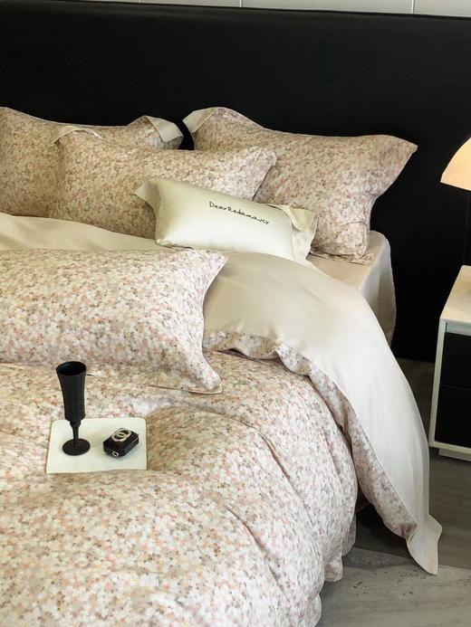 利路米秋冬新款天然本草-Dr.A艾能纤维天丝磨毛四件套莉莎 商品图1