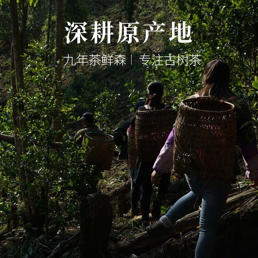 2023年茶鲜森味、美、王系列 小饼茶 品鉴装 礼盒 生茶 普洱茶 商品图4