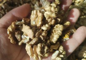 核桃仁&核桃分心木(农友直发)