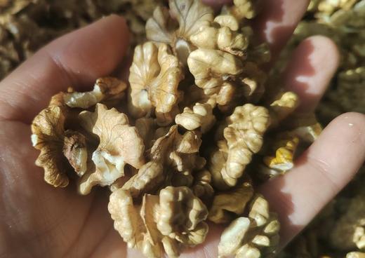 核桃仁&核桃分心木(农友直发) 商品图0