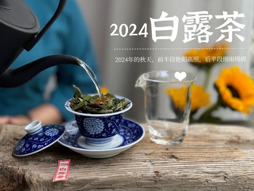 【2024白露茶】清新沁凉，带着清鲜之山野气韵的甜花香，空灵、甜美（1斤收藏装） 商品图10