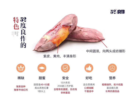 52良作＃更粉一些，来自北方，番薯里比较完美的存在，品质稳定，大自然给予的良心之作！烤，蒸，煮，样样都行！ 商品图6
