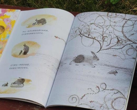 《大师绘本花园：与全世界孩子共读经典》，15册，盒装，平装，12开，中信出版社2019年版，定价368，售价148。 商品图5