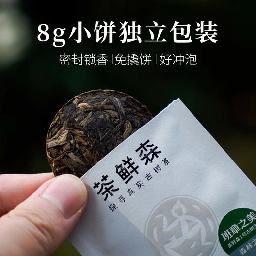 2023年茶鲜森味、美、王系列 小饼茶 品鉴装 礼盒 生茶 普洱茶 商品图1