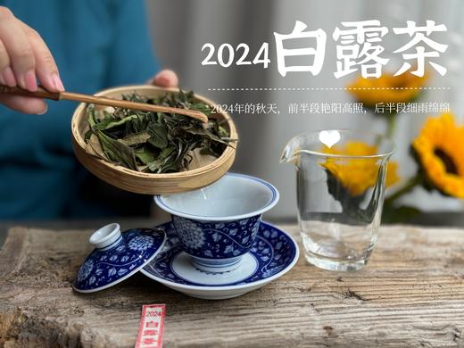 【2024白露茶】清新沁凉，带着清鲜之山野气韵的甜花香，空灵、甜美（1斤收藏装） 商品图8