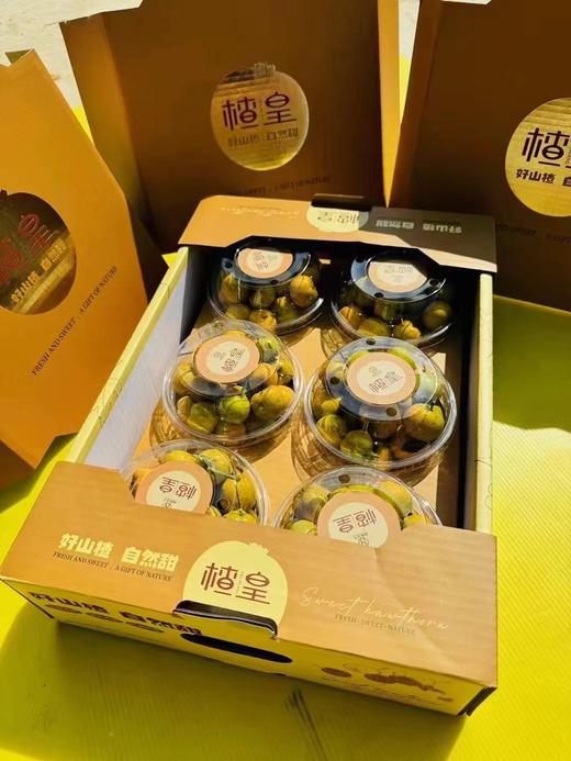 黄山楂（260g左右） 商品图0