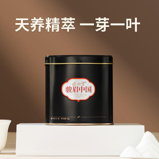 正山堂·骏眉中国·雅黑（一芽一叶）花果蜜香特级红茶罐装茶叶50g 商品图1
