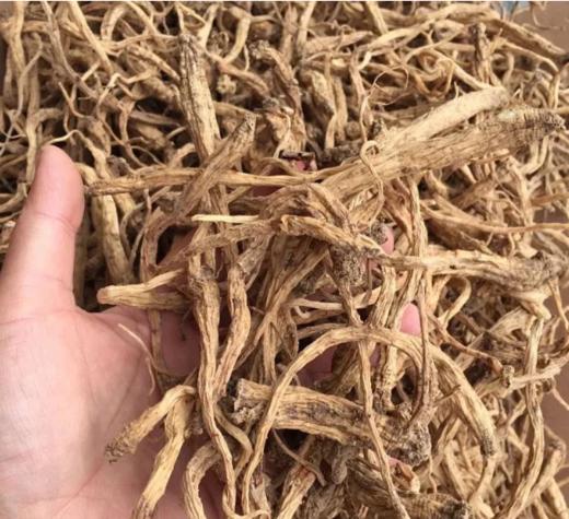 正宗甘肃纯野生老党参/大条无硫/10 年以上老党参/参味浓郁/甘甜 250克 商品图3