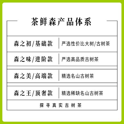 2023年茶鲜森味、美、王系列 小饼茶 品鉴装 礼盒 生茶 普洱茶 商品图3