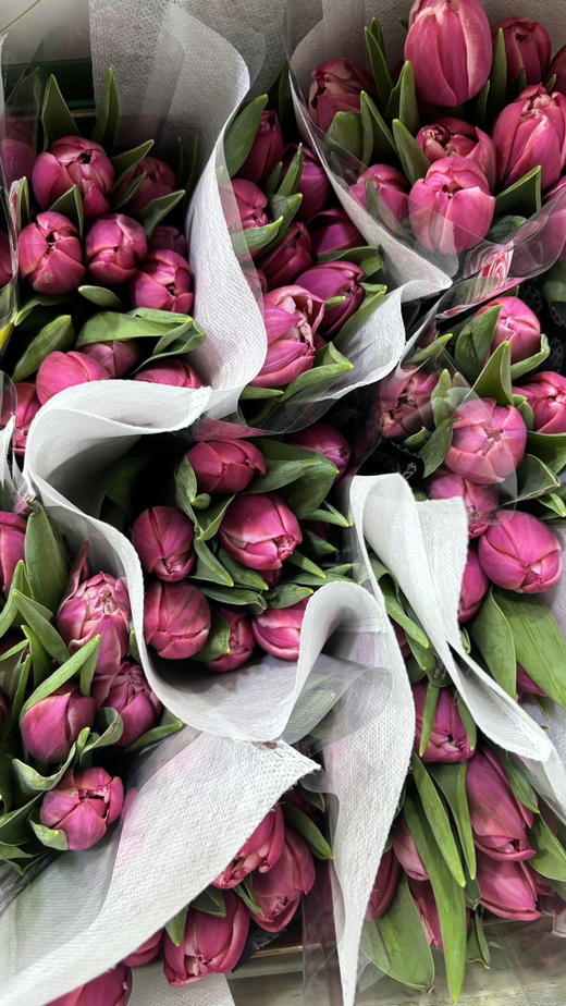 【国产郁金香】草莓松饼 约10枝/扎 商品图8