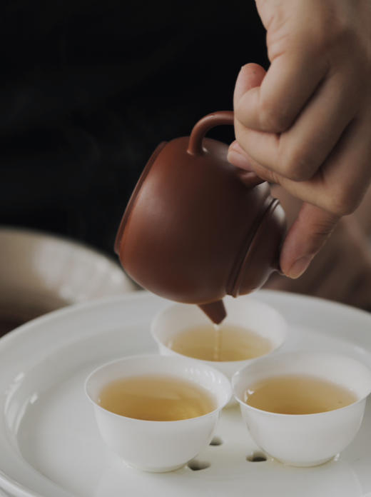 清如许茶有真香｜丹湖拓富后 凤凰单丛 商品图5