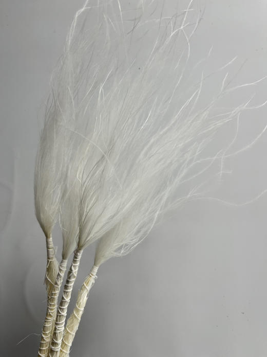 永生花材-【国产羽毛草】3枝装 商品图3