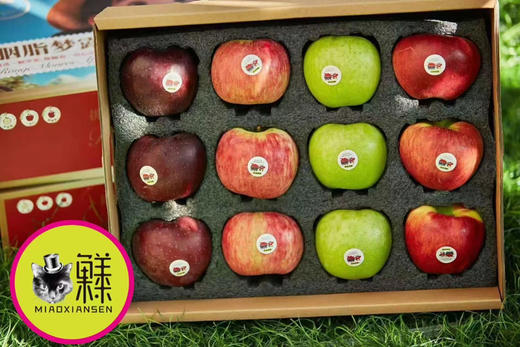 📦喵菓基地～三色苹果【维纳斯黄金➕胭脂梦露黄金苹果➕王林苹果➕黑卡苹果➕红露苹果】 商品图2