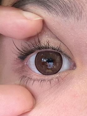 skeye半年抛美瞳 哇塞小鹿 14.0mm