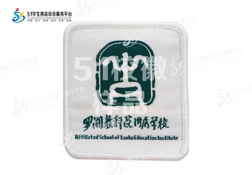 通版深圳市罗湖教科院附属学校织唛校徽布姓名贴章可缝烫现货发51 商品图0