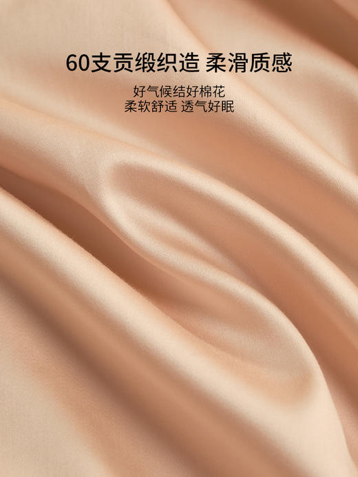 佳丽斯60支全棉四件套贡缎被套纯棉床单床上用品床笠款轻奢高级感 商品图5